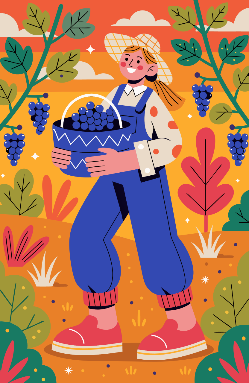 Vendanges 3